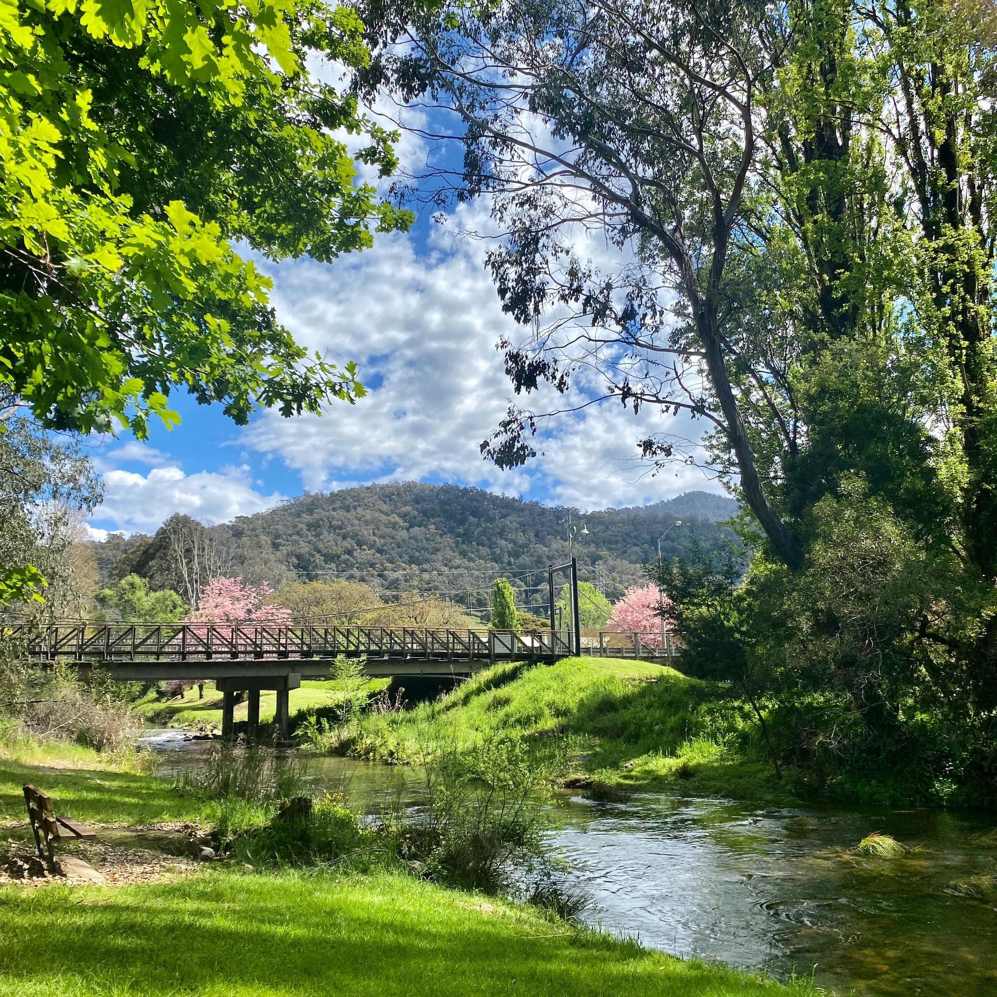 The Shire